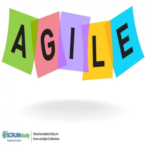 Agile Master Certified Online